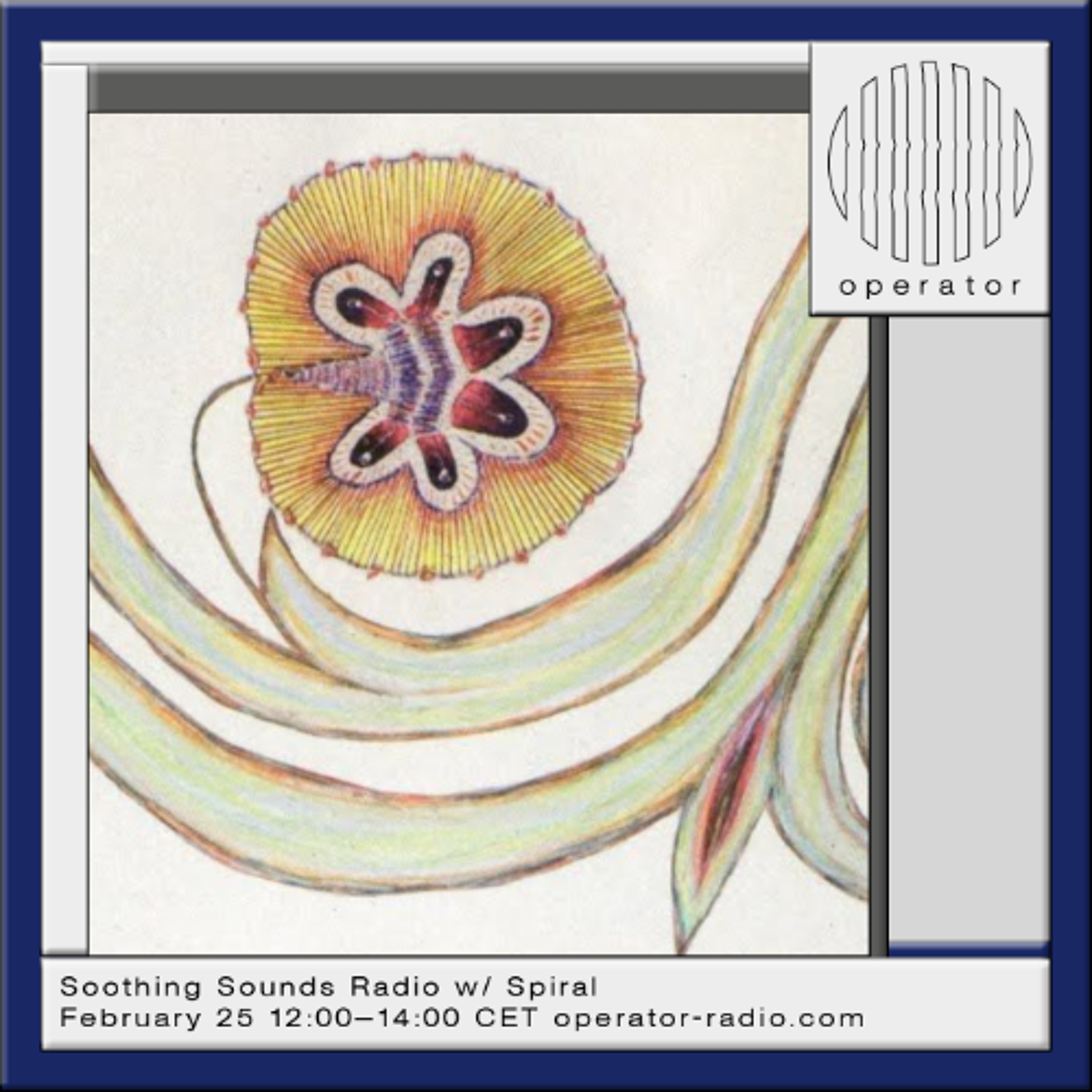 Soothing Sounds Radio w/ Spiral - 25th February 2026 episode artwork