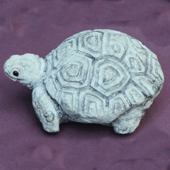 Settling Your Nervous System