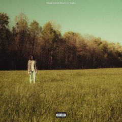 The So Called End To My Youth