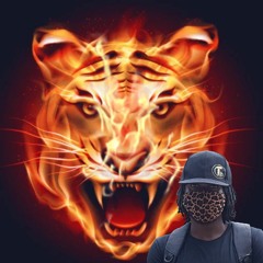 Trivulance DiEngineer - From The Valley