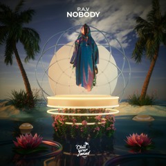 P.A.V - Nobody