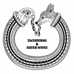 Tacsidermi & Sister Wives - O Fy Nghof