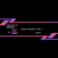 DnA RADIO Vol.1 Devize & Ava B2B