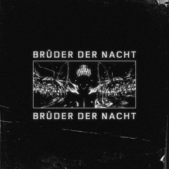 Brüder Der Nacht Nacht #29 by Felix Stößer