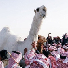سـلالة الّزيـن ⚚
