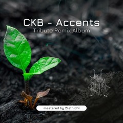 ckb - Accents (James Reid Remix) Juuz Records