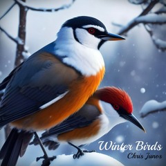Winter Birds - Τα Πουλιά Του Χειμώνα