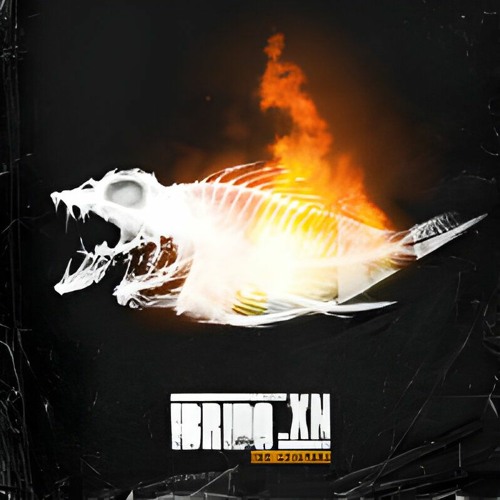 05 - Ibrido XN   La Giostra