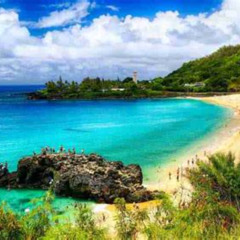 Best Secret Things To Do In Oahu Tours Reviews