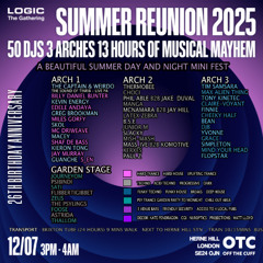 DAVE LOGIC'S RAVE SPOT- LOGIC REUNION MUCKABOUT