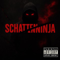 SchattenNinja