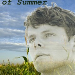 PDF ⚡️ Download Like the Taste of Summer