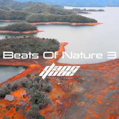 Dang Quoc - Beats of Nature 3 - Ta Dung