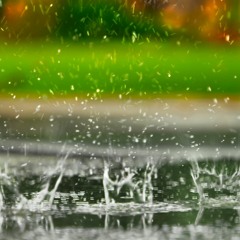 It's Raining! Satisfying Rain Sounds for Sleeping or to Destress (75 Minutes)