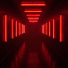 The Backroom