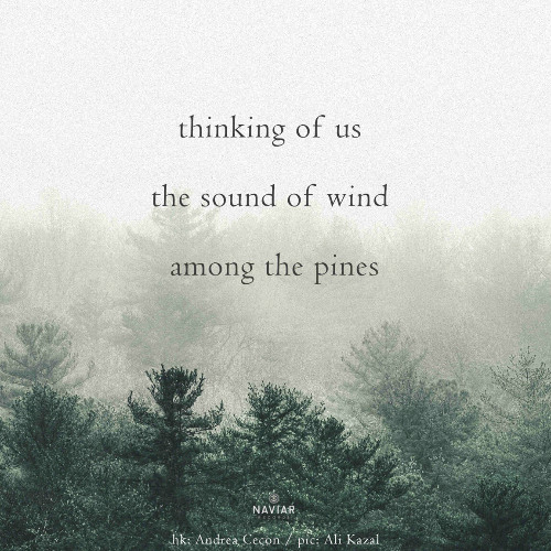 6:00 [ naviarhaiku600 ]