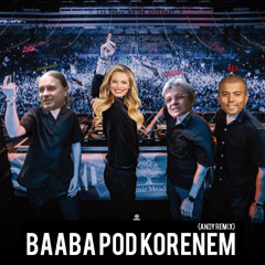 baaba pod kořenem (andy remix)