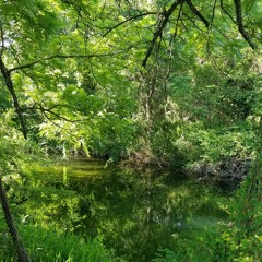 Sketch1-Lift Your Head Child