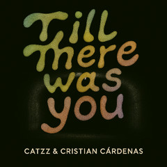 CatzZ ft. Cristian Cardenas - Till There Was You (Edit Remastered)