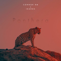 CONNOR RM x IKAROS - Panthera