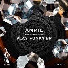 AMMIL - Hit That