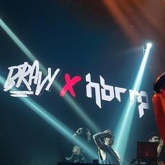 The Indo Bounce Collection