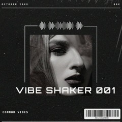 Vibeshaker 001 MIX
