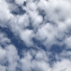 martha speaks (prod. earth2dot)