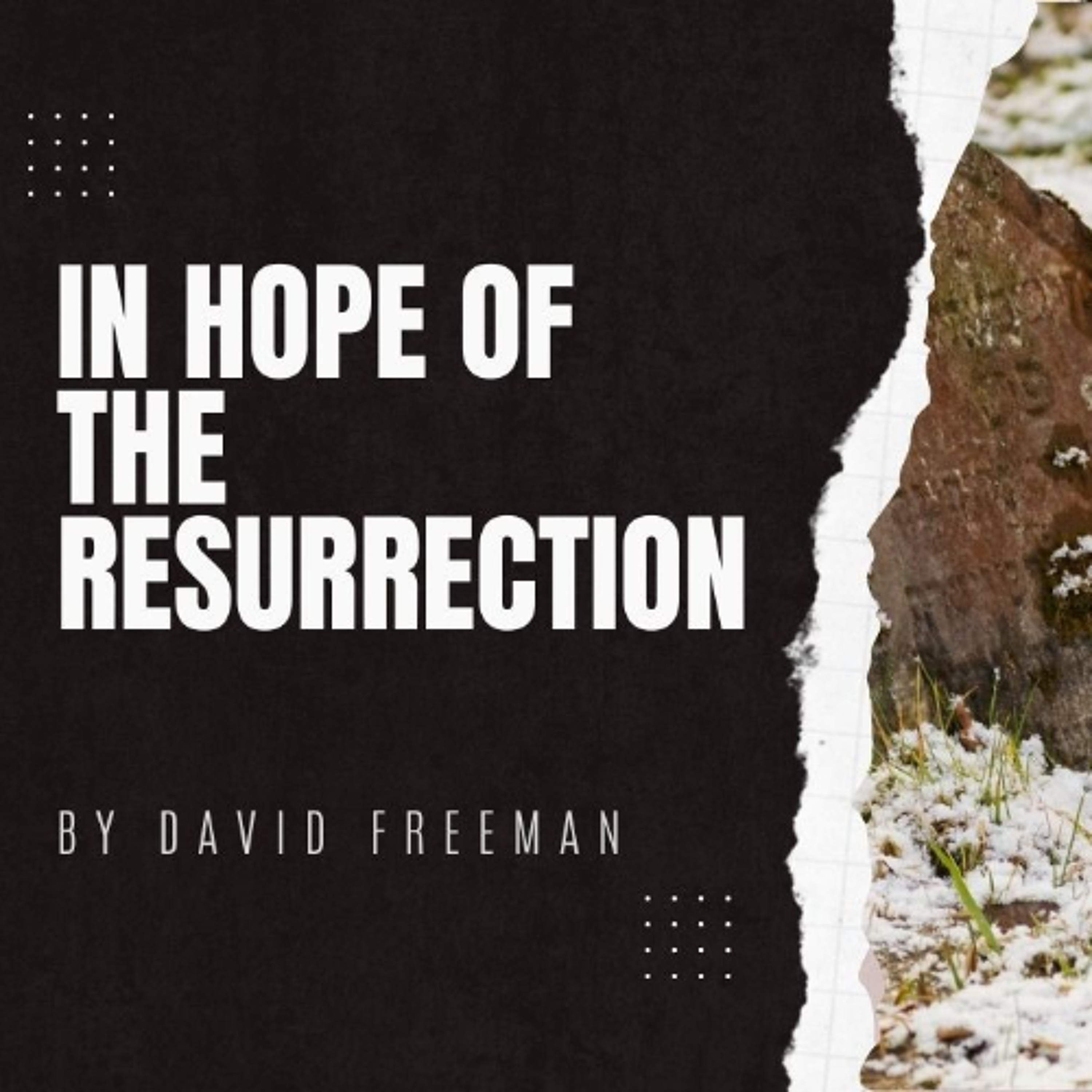 Is That Really In The Bible? 7-In Hope of the Resurrection. By David Freeman episode artwork