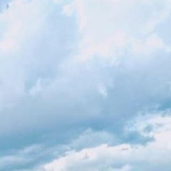 Clearing In The Woods