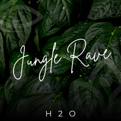 Jungle Rave