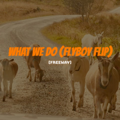 What We Do (Flyboy Flip) - Feat. Freeway