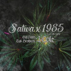 Gat Putch, Tu$ Brother$ x J.Cole - Sativa x 1985 (Intro to "The Fall Off") (DRAYS Mash-Up)