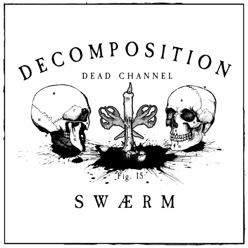 Decomposition - Fig. 15: swærm