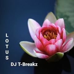 Lotus (bboy edit)