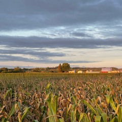 god im good good im god