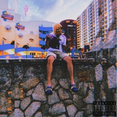 DIP & GO (P. LAUTJE XO)