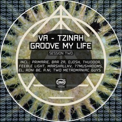 Primarie - The Real You (Original Mix) Preview