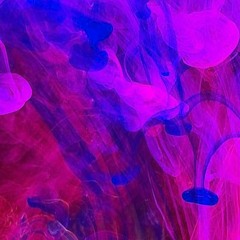 paradise city calmed angry men