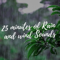 Rain and Wind Sounds for Sleeping or Studying | Rainstorm White Noise