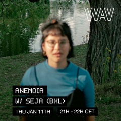 Anemoia w/ Guest Seja At WAV | 11-01-24