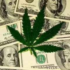 Birds Weed