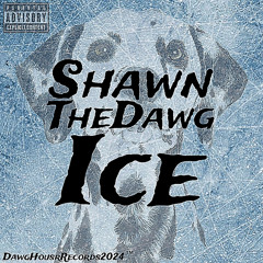 ShawnTheDawg - Ice [E]