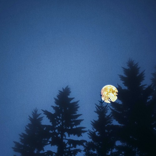 no time to die (ambient version) w/ seeyouthere