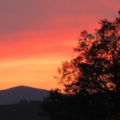 Solstice