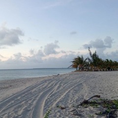 🎶 UB40XDMP - 🎶