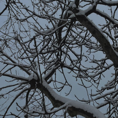 akatsuki-lil 17th speed up