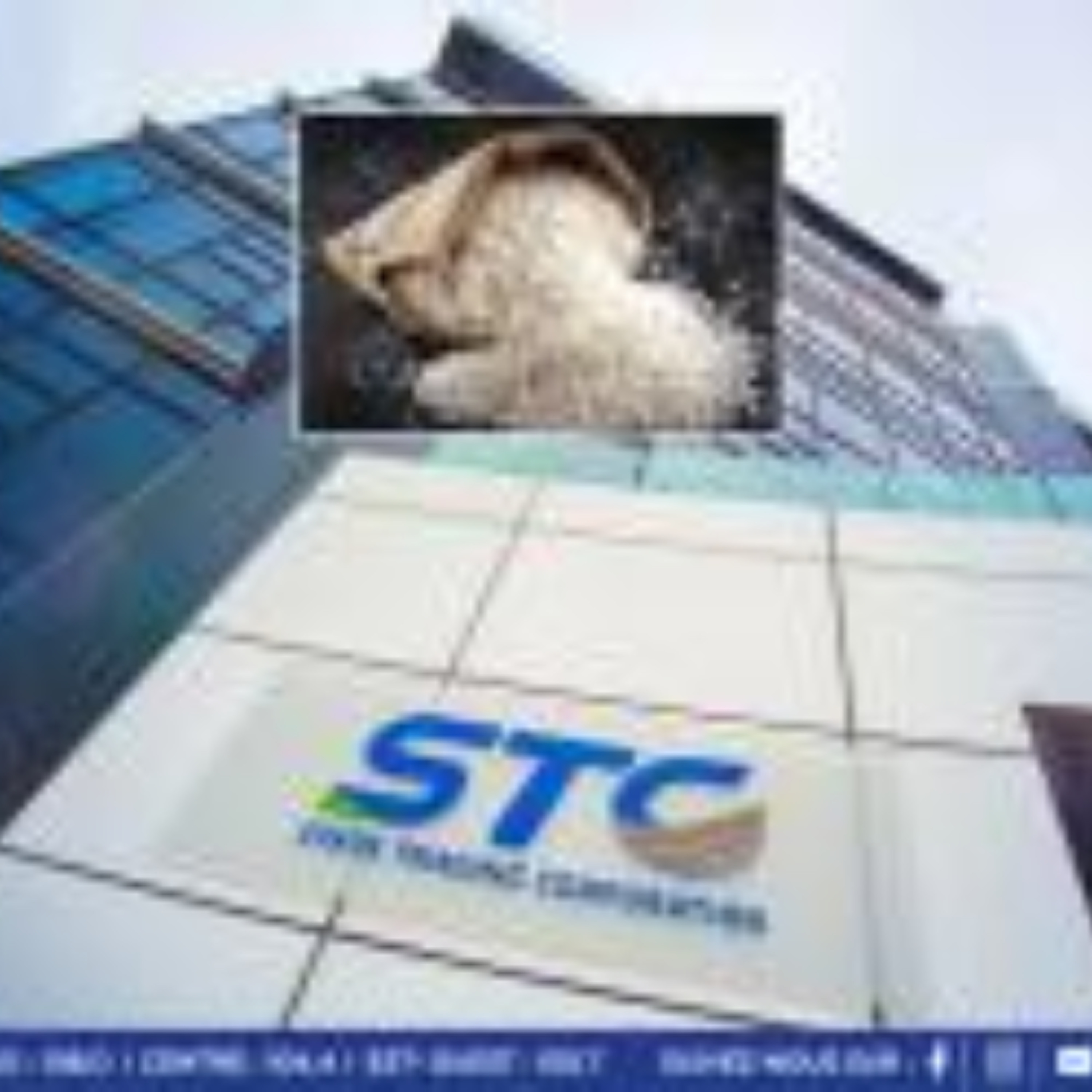 Riz et farine subventionnés par la STC : ces produits ne sont pas destinés à être vendus sur le marché international