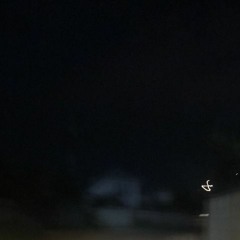 Trippin & xnrst - Destul