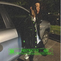 Chicago 2 Houston (Prod.by thesshabo)